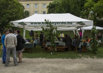I_Vadaszgyereknap_Varpalota2015_058